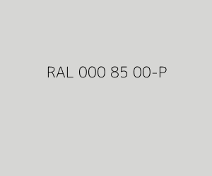 Kleur RAL 000 85 00-P 