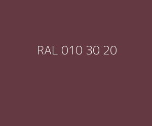 Kleur RAL 010 30 20 
