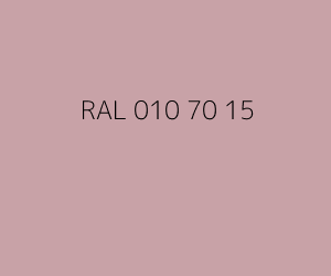 Kleur RAL 010 70 15 