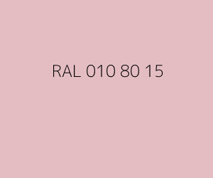 Kleur RAL 010 80 15 