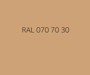 Kleur RAL 070 70 30 