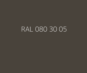 Kleur RAL 080 30 05 