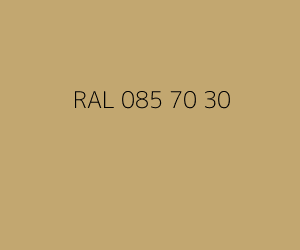 Kleur RAL 085 70 30 