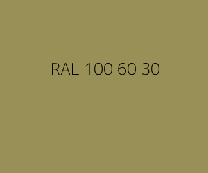 Kleur RAL 100 60 30 