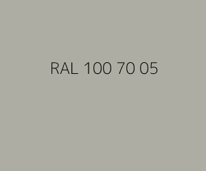 Kleur RAL 100 70 05 