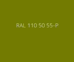 Kleur RAL 110 50 55-P 