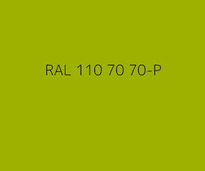 Kleur RAL 110 70 70-P 