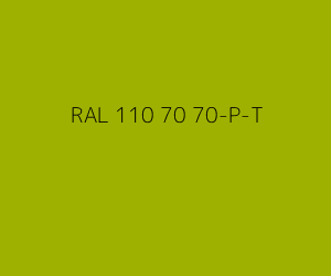 Kleur RAL 110 70 70-P-T 