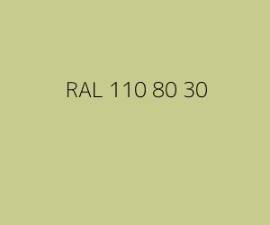 Kleur RAL 110 80 30 