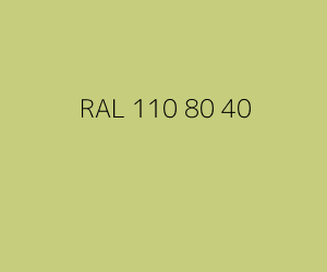Kleur RAL 110 80 40 