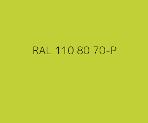 Kleur RAL 110 80 70-P 