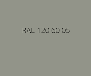 Kleur RAL 120 60 05 
