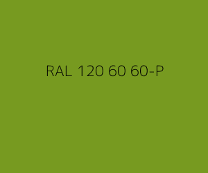Kleur RAL 120 60 60-P 
