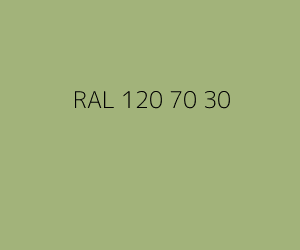 Kleur RAL 120 70 30 