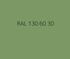Kleur RAL 130 60 30 