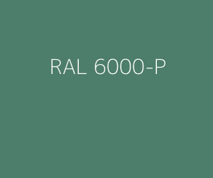 Kleur RAL 6000-P PATINAGROEN