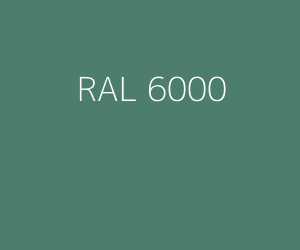 Kleur RAL 6000 PATINAGROEN